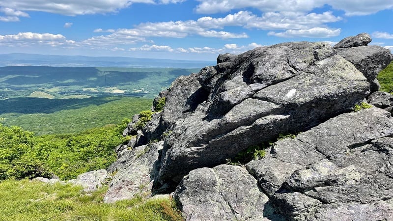 Buzzard Rock