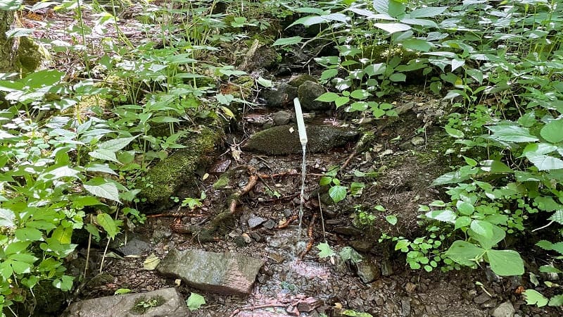 Appalachian Trail Spring