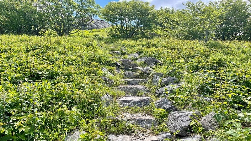 Steps to Buzzard Rock