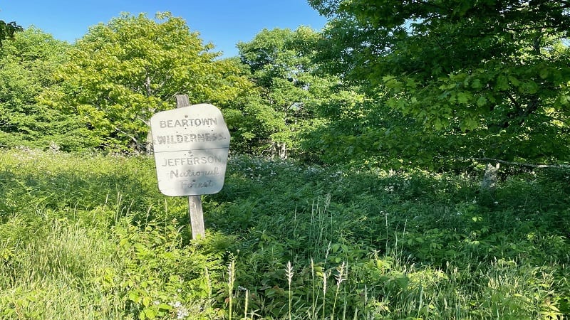 Beartown Wilderness Sign