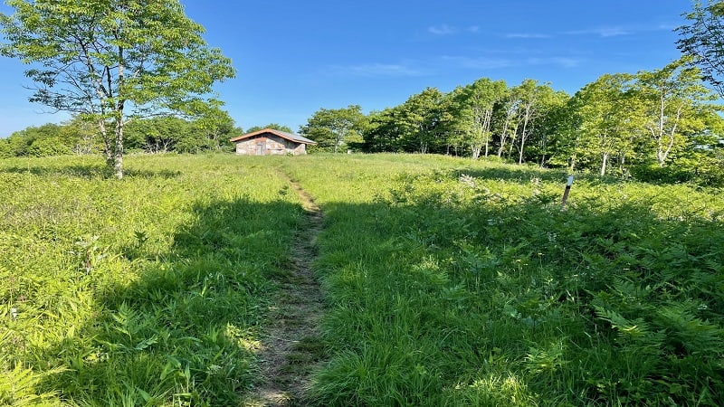 Chestnut Knob Shelter