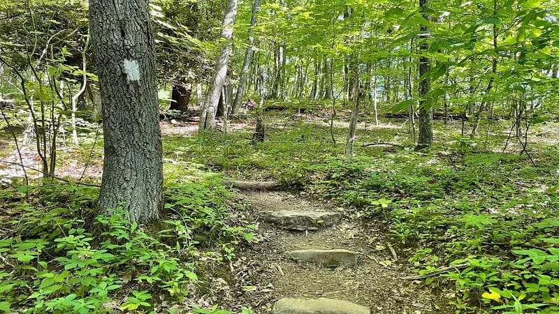 Chestnut Knob Hike Trailhead