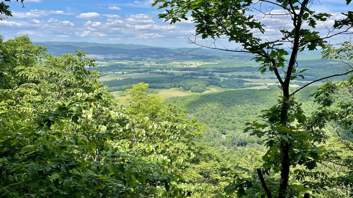 Dickey Knob Trail | Raccoon Branch Wilderness | Hiking in Virginia