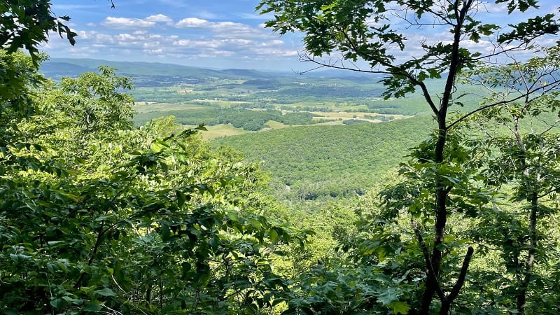 Dickey Knob Trail Views