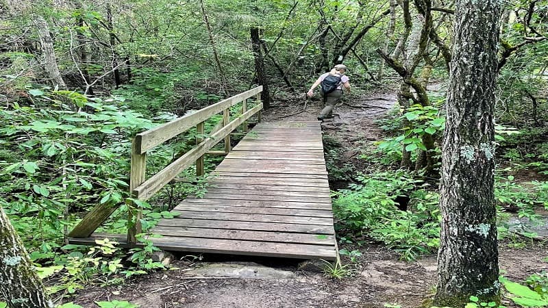 Wooden Footbridge