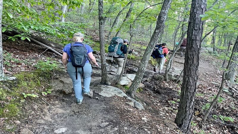 McAfee Knob Hike