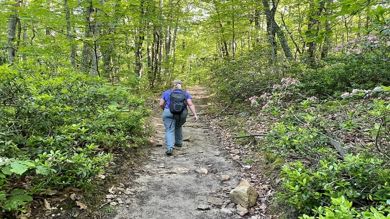 McAfee Knob Hike