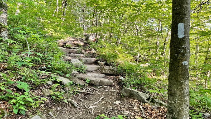 Steps on the Trail