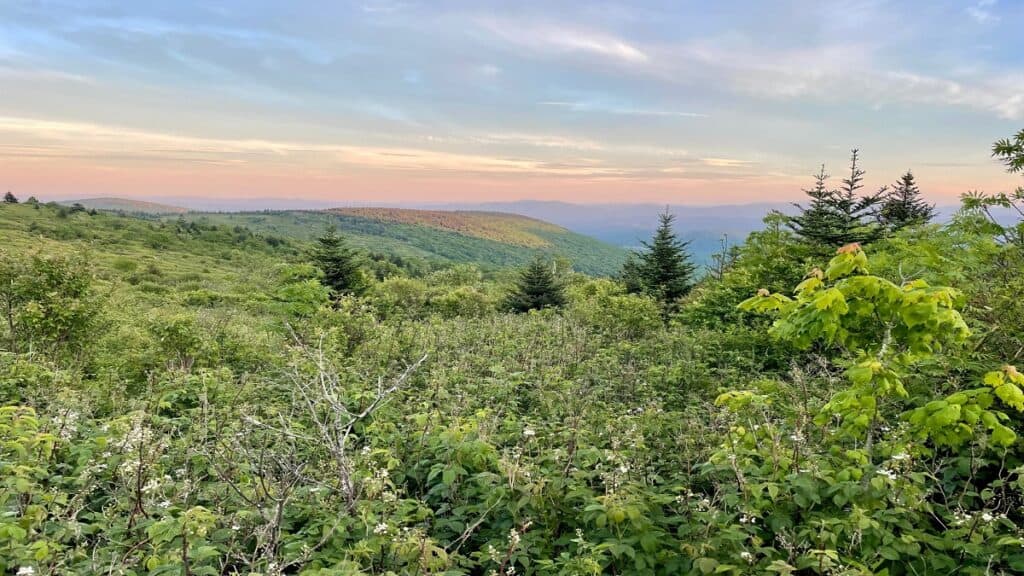 Mount Rogers | Appalachian Trail | Hikes in Virginia