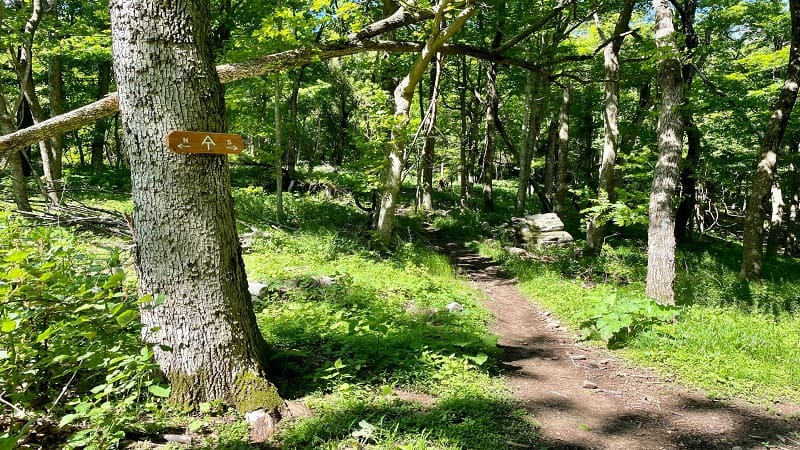 Appalachian Trail Sign