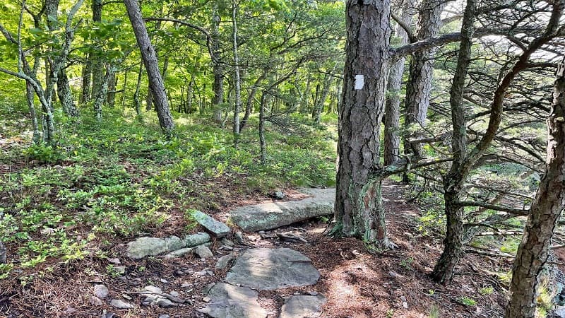 Appalachian Trail