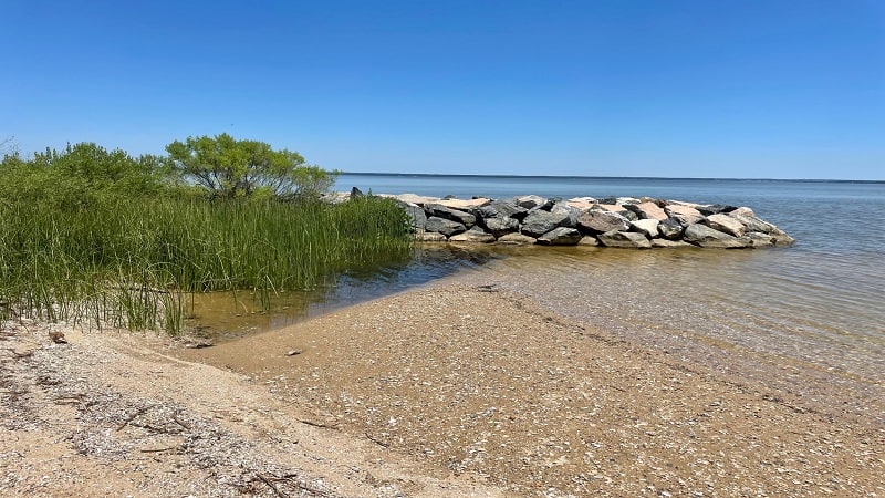 Chippokes State Park Beach