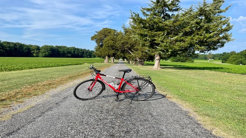 Bicycle on Chippokes Farm Road