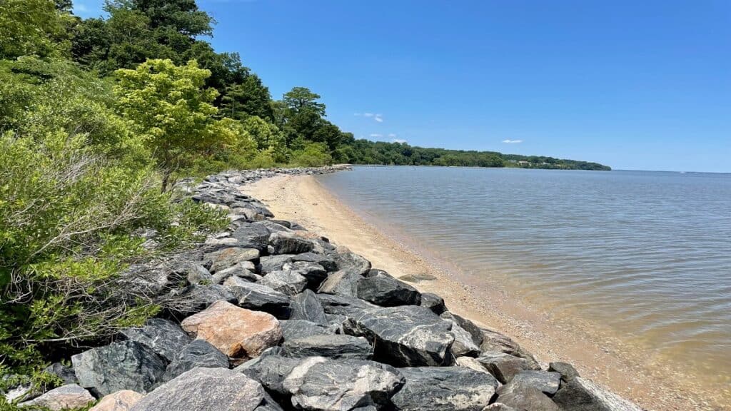 Chippokes State Park | Surry County, Virginia