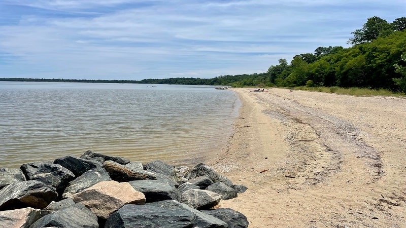 Fossil Beach at Chippokes State Park