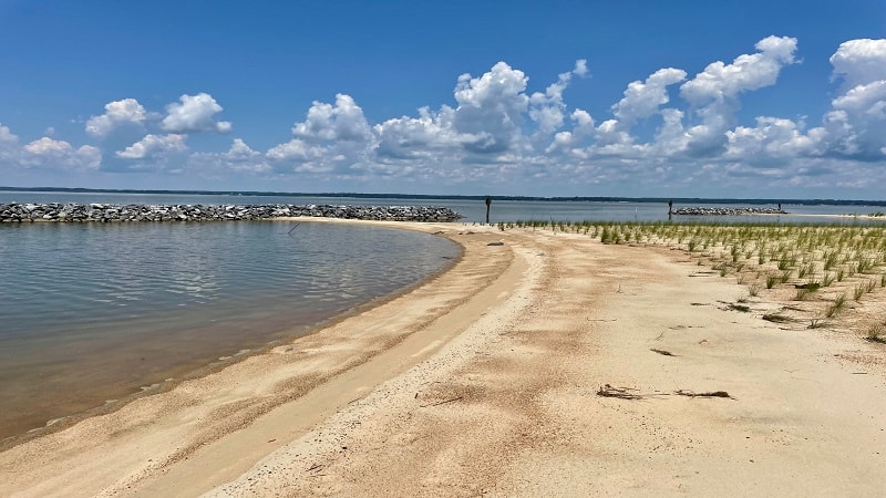 Hog Island WMA Fishing Beach