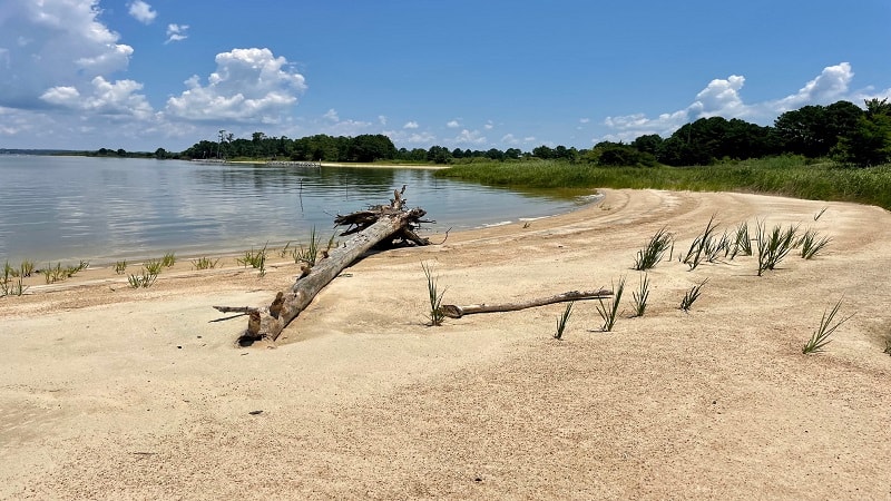 Hog Island WMA Fishing Beach