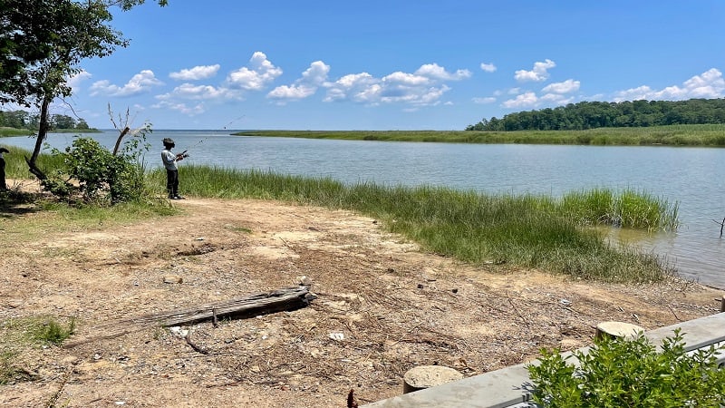 Hog Island WMA Carlisle Tract