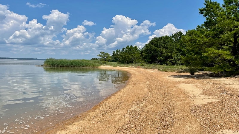 Hog Island WMA Fishing Beach