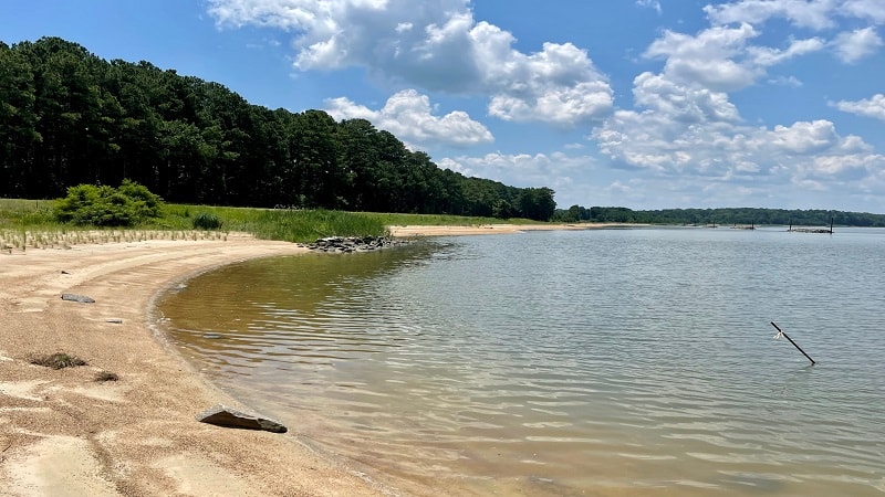 Fishing Beach at Hog Island WMA