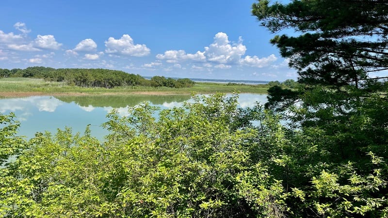 Hog Island Impoundment