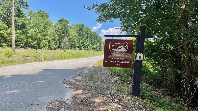 Hog Island WMA Entrance Sign