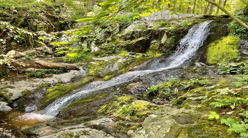 Lands Run Falls | Waterfall Hike | Shenandoah National Park