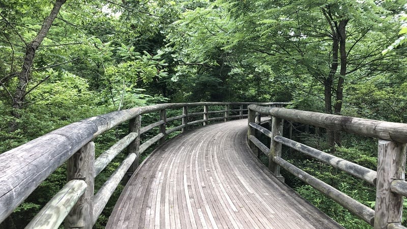 Coal Mining Loop Trail