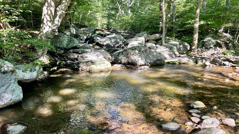 Swimming Hole Near Corbin Cabin