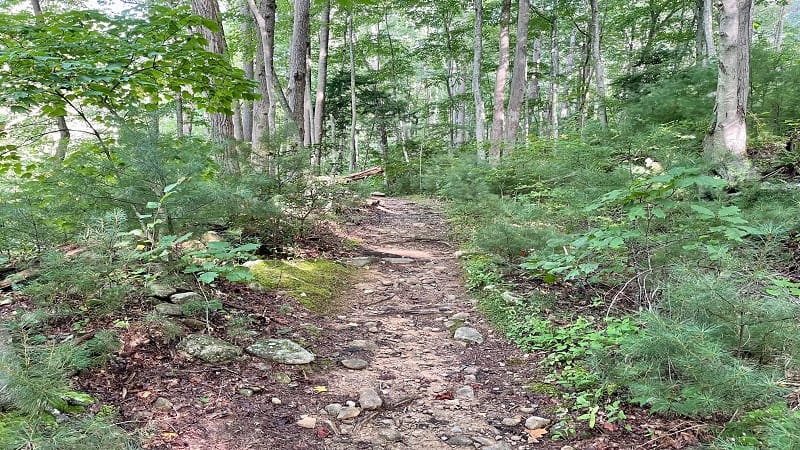 Nicholson Hollow Trail