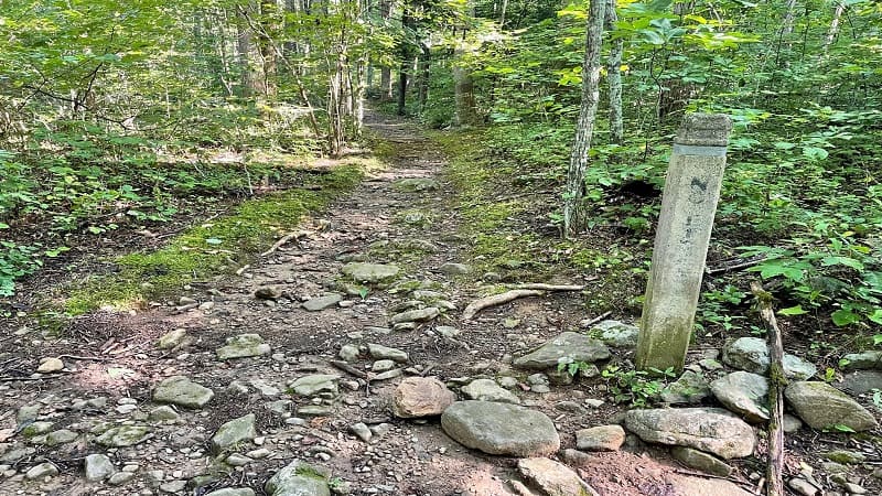 Trailer Marker on Nicholson Hollow Trail