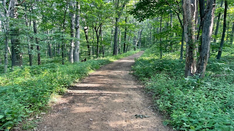 Appalachian Trail at Shenandoah National Park