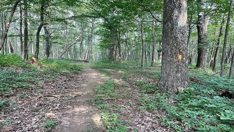 Springhouse Road Trail