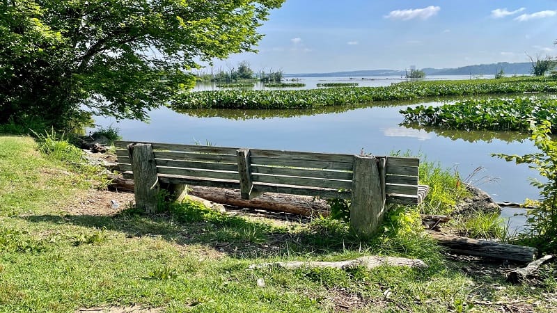 Benches Near Dyke Marsh 