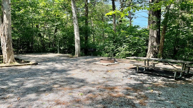 Primitive Camp Site at Shenandoah River State Park