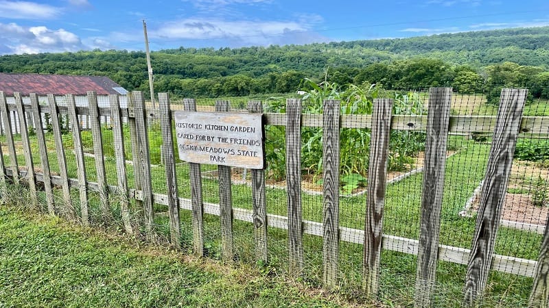 Kitchen Garden