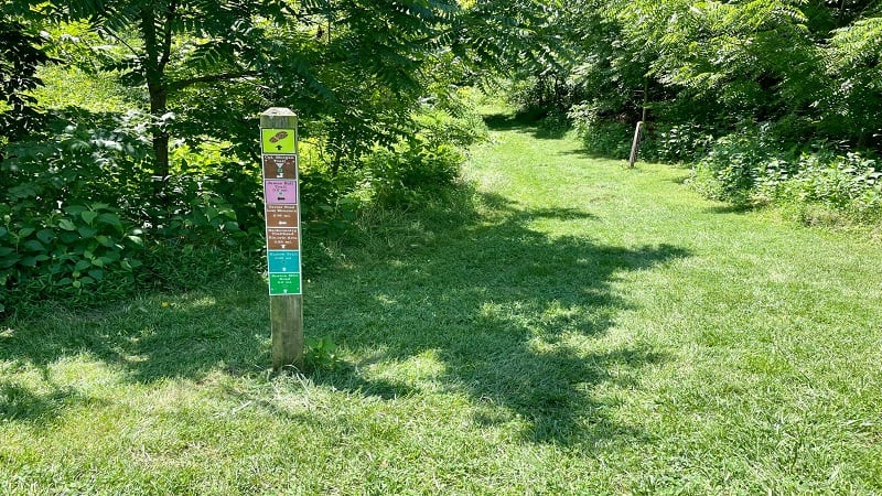 TRACK Trail at Sky Meadows State Park