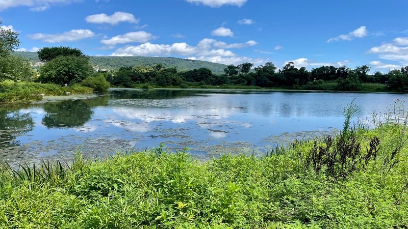 Turner Pond | Sky Meadows State Park