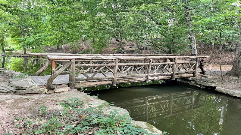 Bridge at Winkler Botanical Preserve