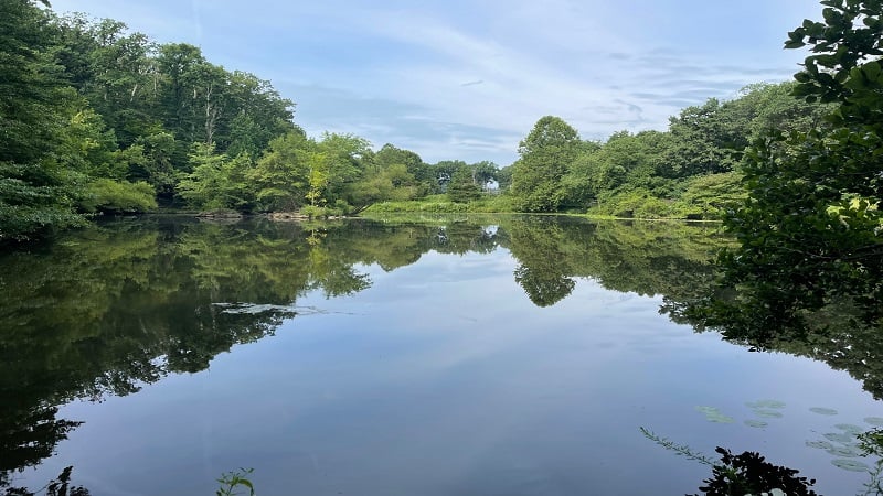 Pond at Winkler Botanical Preserve