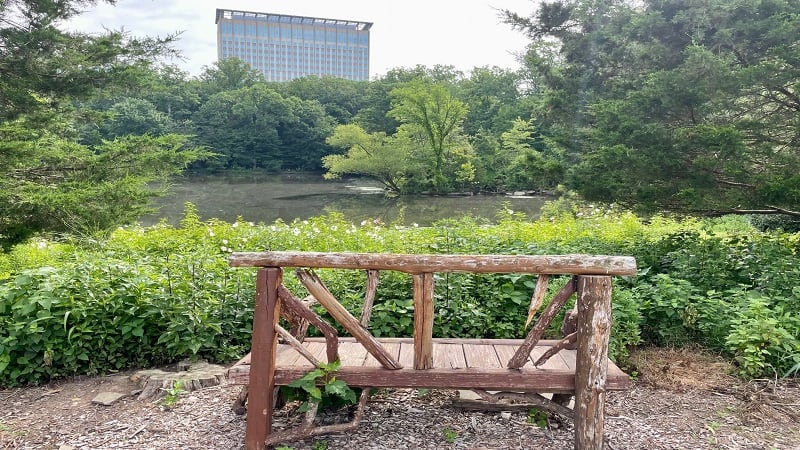 Bench Near Pond at Winkler Botanical Preserve