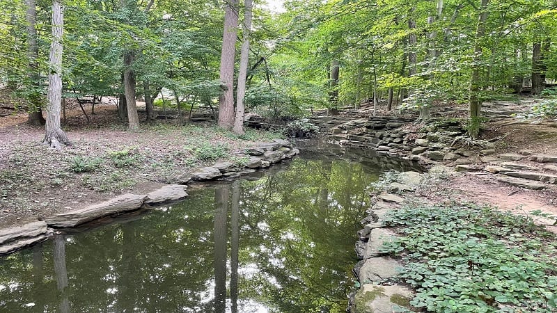 Stream at Winkler Botanical Preserve