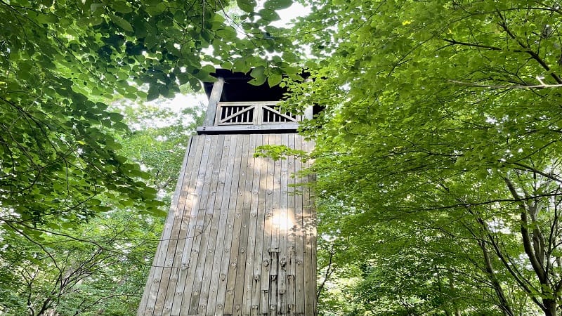 Wooden Tower at Winkler Botanical Preserve