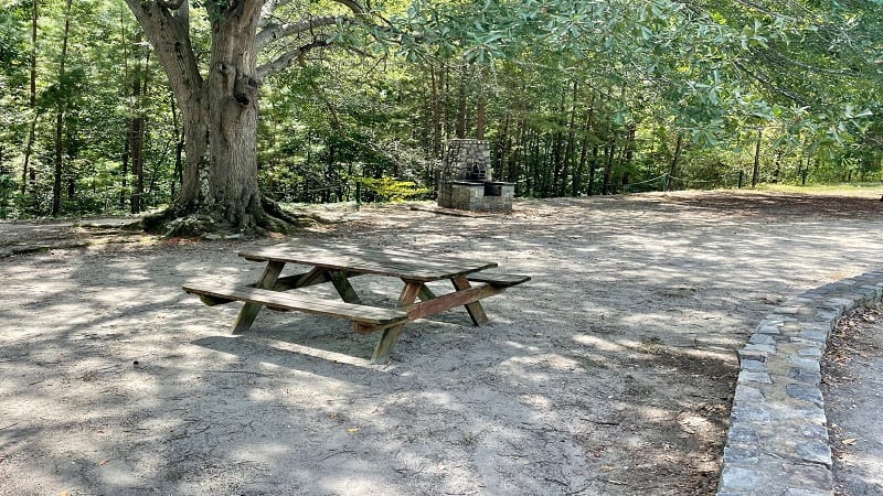 Picnic Table at Forest Hill Park