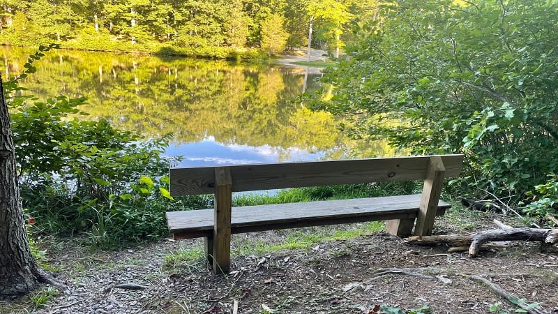 Bench at Twin Lakes State Park in Virginia