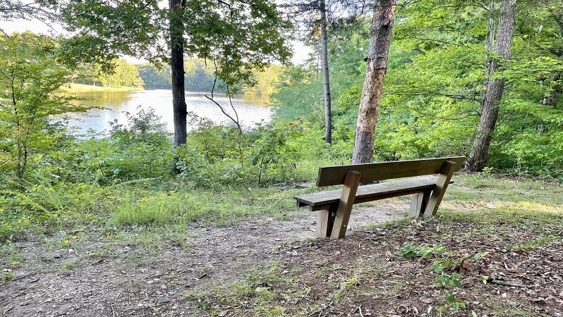 A Bench Facing Prince Edward Lake