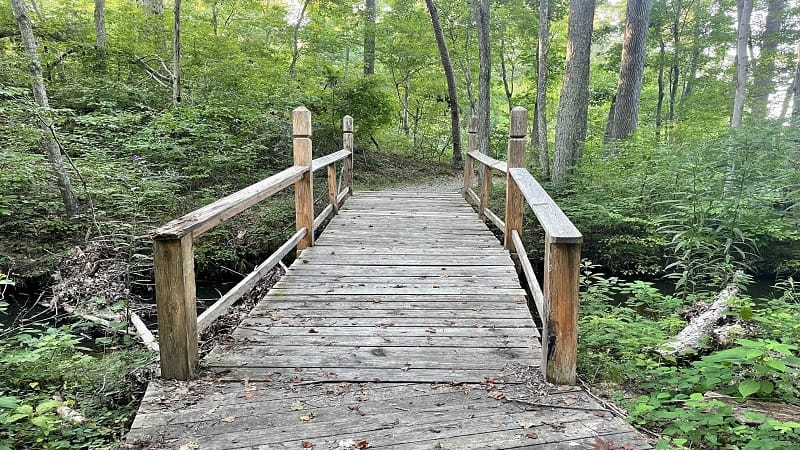 Bridge on Goodwin Lake Trail