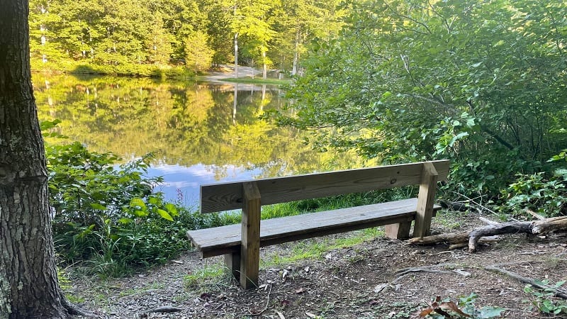 Goodwin Lake Bench