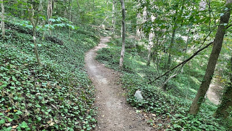 Forest Hill Park Trail in Richmond, Virginia