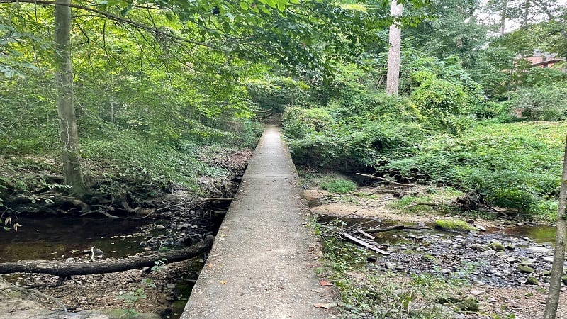 Narrow Bridge at Forest Hill Park Trail